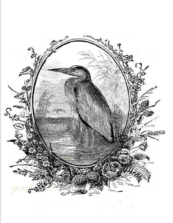 Салфетки для декупажа черно-белые. Винтажные надписи для декупажа для кухни. Винтажные надписи для декупажа. Принты для декупажа черно белые. Монохром для декупажа.