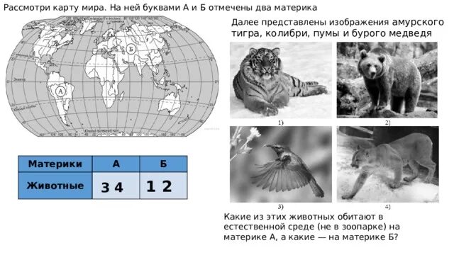 Животные африки 4 класс окружающий мир впр. Материки и животные ВПР. Далее представлены изображения. Материки название ВПР.