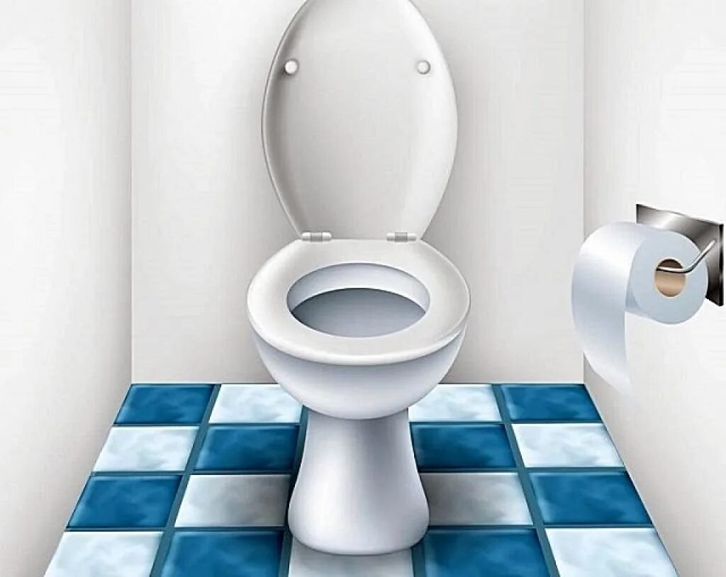 Покажи фотографию туалета. Унитаз фон. Унитаз в комнате. Картина на унитазе. Туалет иллюстрация.