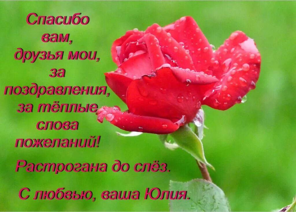 Благодарность по другому. Спасибо за тёплые слова и пожелания. Благодарю за теплые слова. Слова благодарности за поздравления. Спасибо за поздравления и теплые пожелания.