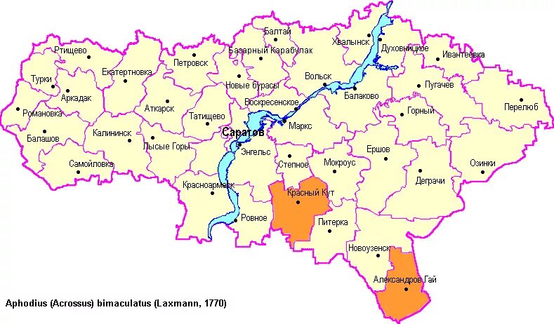 Саратов какой федеральный. Карта Саратовской области. Карта Саратова и Саратовской области. Карта Саратовской области с городами. Карта Саратов обл.