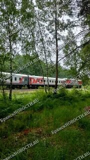 Расписание электричек синезерки брянск