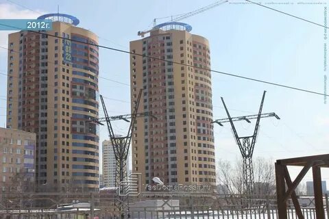 Реутов лесная