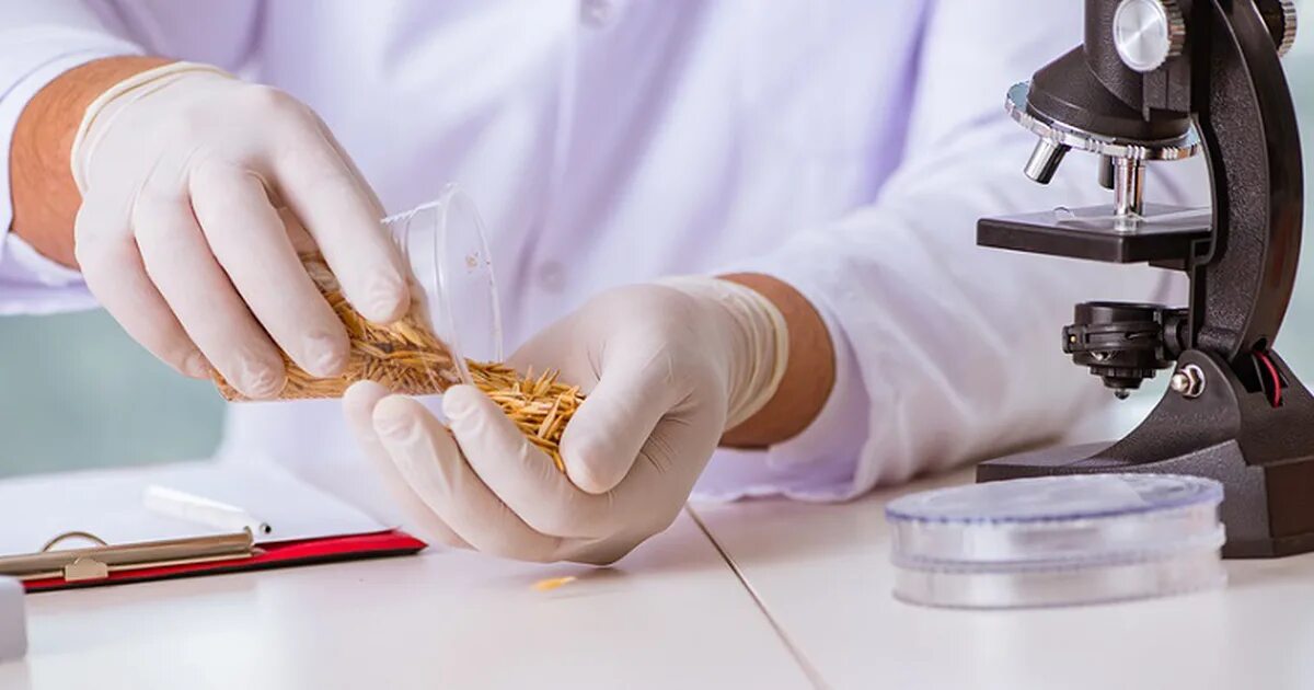 Expert testing. Expert testing. Эксперт по питанию. Тестирование пищевых продуктов. Тест пищевых продуктов.