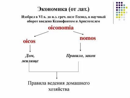 Экономические ветви