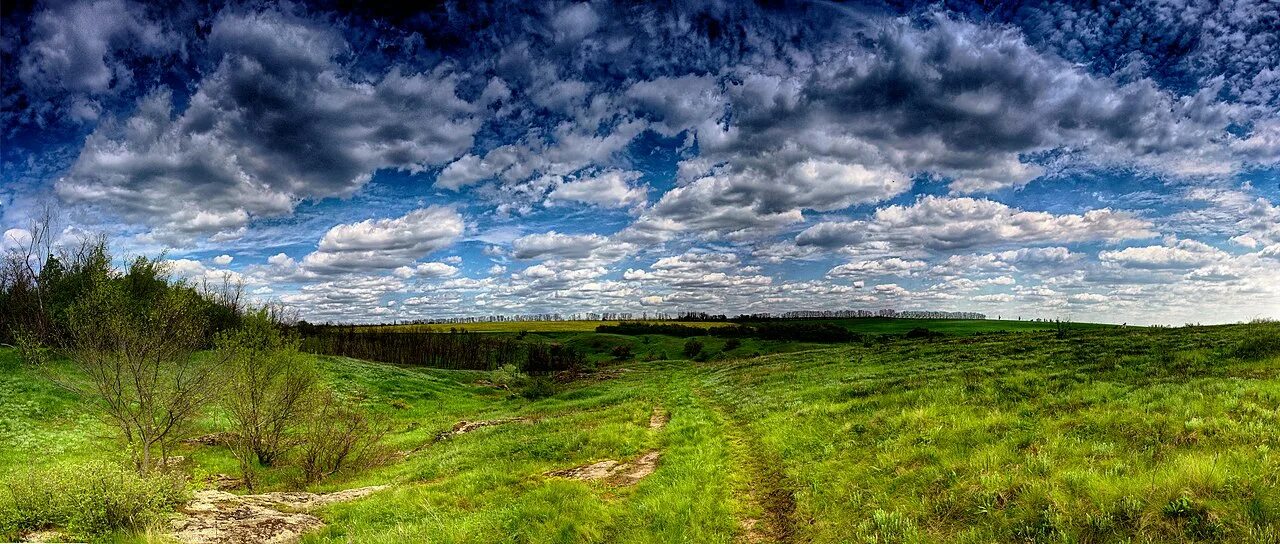 Обнажение песчаников на границе... Провалье, Калиновский участок Landscapes