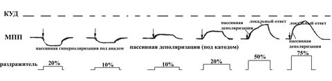 Пассивный ответ