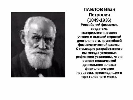 Крупнейшая физиологическая школа