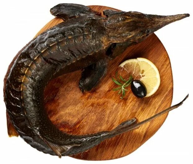 Осетр горячего копчения. Севрюга горячего копчения. Копчение осетрины. Рыба горячего копчения (севрюга, осетрина). Стерлядь холодного копчения.