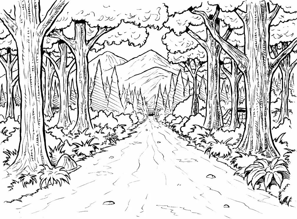Распечатать рисунки природа. В лесу. раскраска. раскраска природа. лес раскраска для детей. раскраска пейзаж.