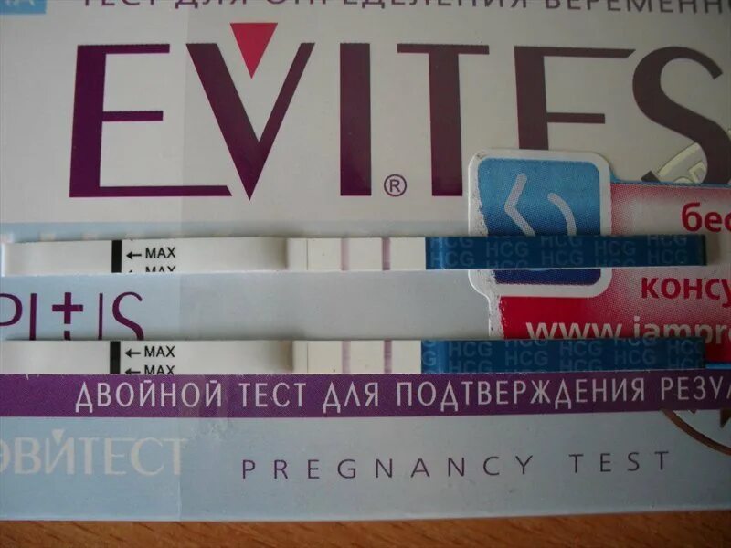 Тест двойного клика. Эвитест. Эвитест двойной. Evitest на беременность положительный. Двойной тест на беременность Evitest.