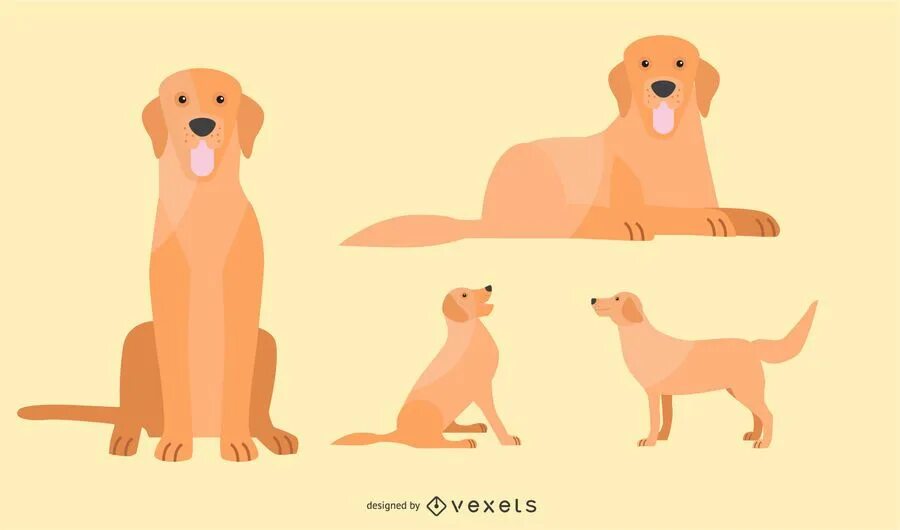 Золотистый ретривер флэт. Собака флэт иллюстрация. Флет иллюстрации с собакой. Ретривер флэт рыжий. Flat dog