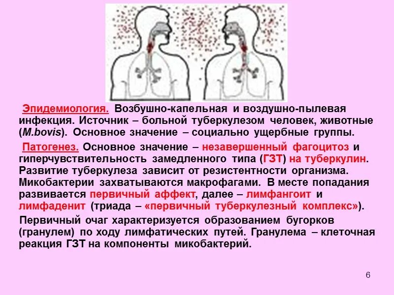 Воздушно капельным или воздушно пылевым. Воздушно-капельные инфекции туберкулез. Воздушно капельный и воздушно пылевой путь передачи болезней. Капельно пылевые инфекции. Инфекции передающиеся воздушно пылевым путем.