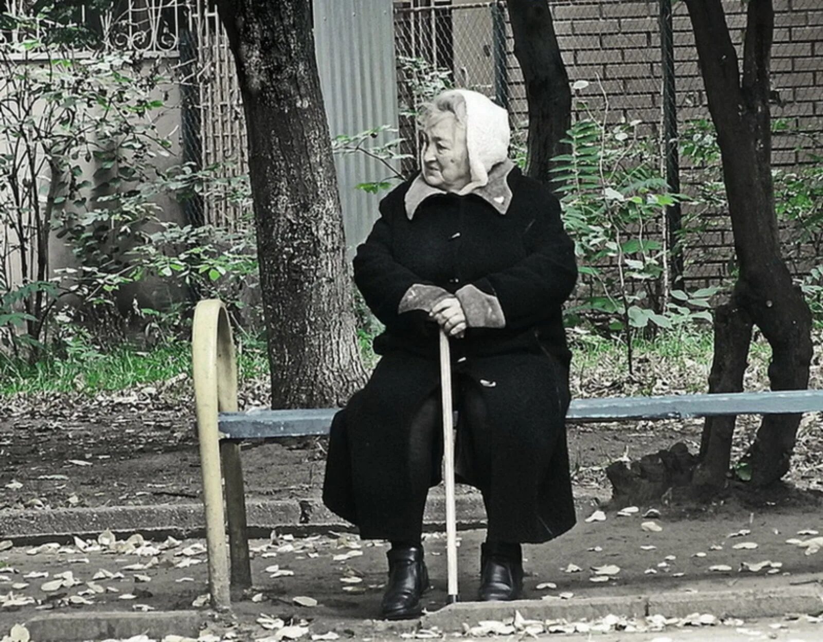 Бабушка черных чулках. Старушка с палочкой. Бабушка с палочкой. Старуха с палочкой. Бабушки на скамейке.