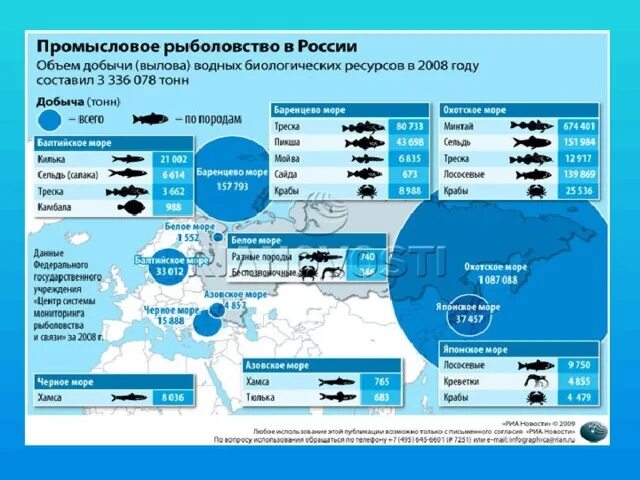 Фотографии ЖИЗНЬ В ОКЕАНЕ ОСНОВНЫЕ РАЙОНЫ РЫБОЛОВСТВА