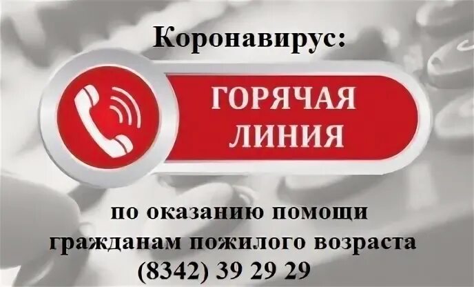 Телефон горячей линии мордовии