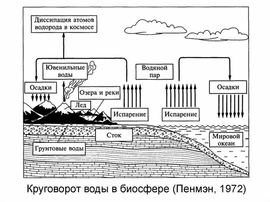 Биосфера круговорот воды в биосфере. Круговорот воды в биосфере пенмэн1972. Схема круговорота воды в биосфере схема. Полный цикл круговорота воды в биосфере. Фф круговорот