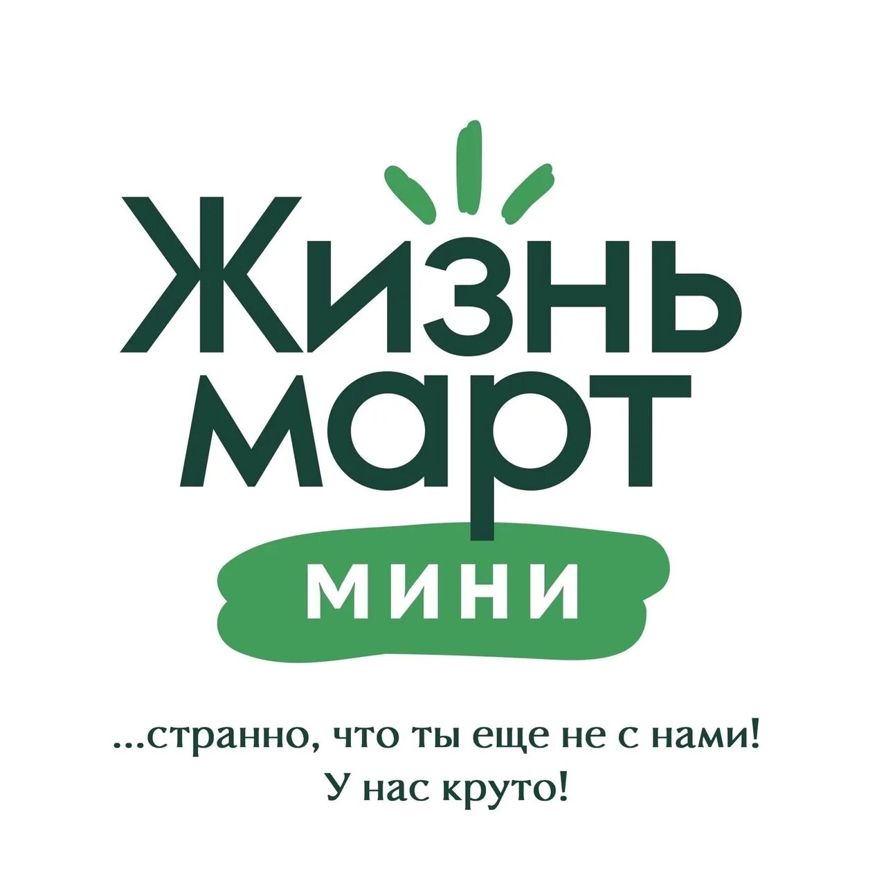 Жизньмарт что это. Жизньмарт сайт екатеринбург. Жизнь март логотип. Жизнь март ассортимент. Жизньмарт сайт екатеринбург.