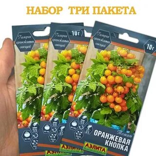 Томат оранжевое чудо характеристика