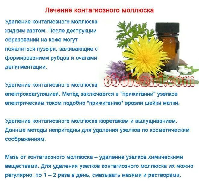 Как выглядит моллюск на коже у ребенка TINA Zen Дзен