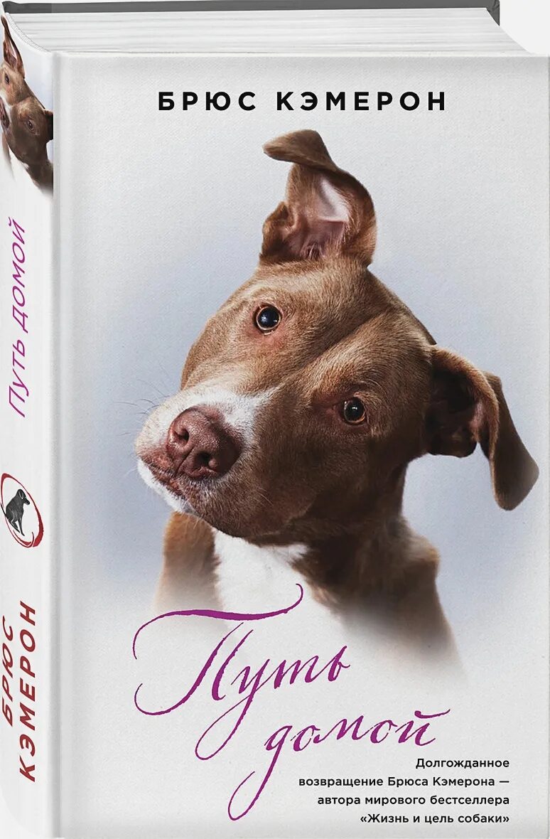 Олег верещагин путь домой книга 3. Путь домой книга. Герои путь домой брюс кэмерон. Книга путь домой олег верещагин. Олег верещагин писатель.