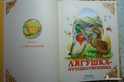 Лягушка путешественница главная мысль для читательского дневника