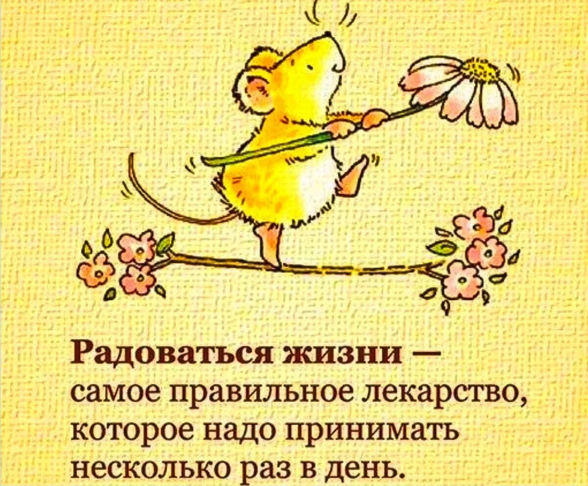 Отличное настроение цитаты