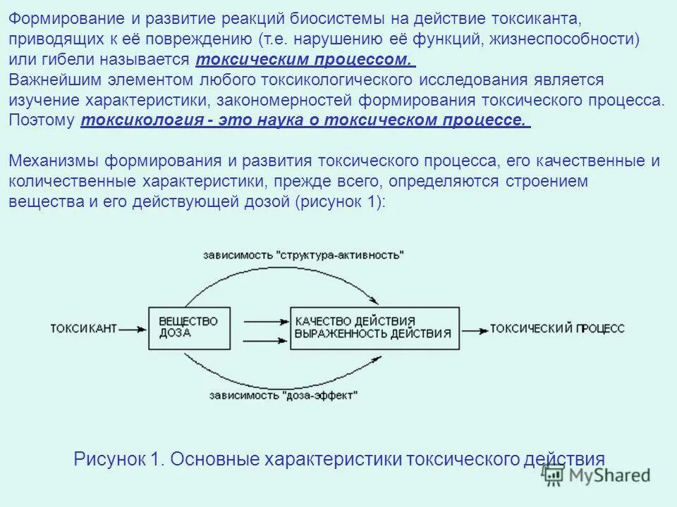 Формирование и развитие реакций биосистемы на действие токсиканта. Токсический процесс это. Основные понятия токсикологии. Условия возникновения реакции