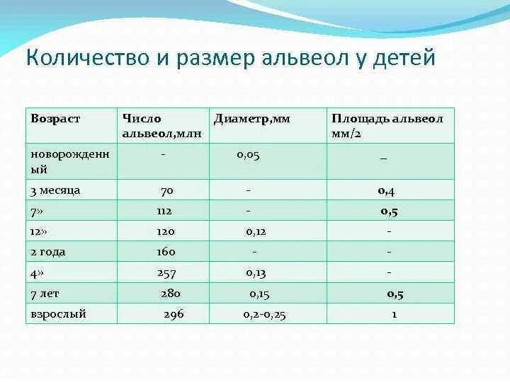 Насколько взросл. Число альвеол у детей с возрастом. Количество альвеол у детей по возрасту. Количество альвеол к рождению ребенка по сравнению со взрослыми. Размер альвеол.