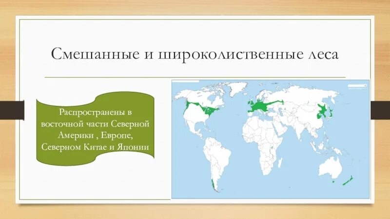 Широколиственные леса в России на карте почвы. Зона смешанных и широколиственных лесов географическое положение. Смешанный широколиственные леса на карте. Зона широколиственных лесов на карте. Географическое положение широколиственных в россии