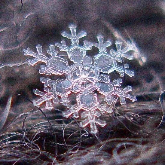 Снежинки микроскоп
