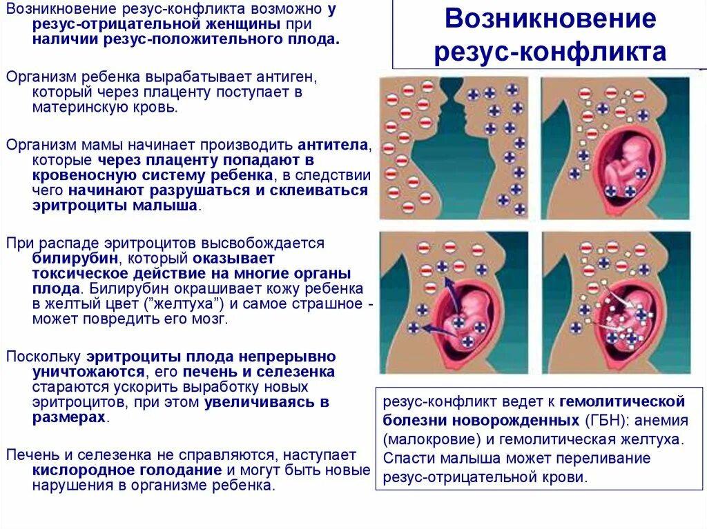 Причины и механизм возникновения резус конфликта матери и плода. Условия резус конфликта мать плод. Механизм развития резус конфликта. Механизм формирования резус конфликта матери и плода. После резус конфликта