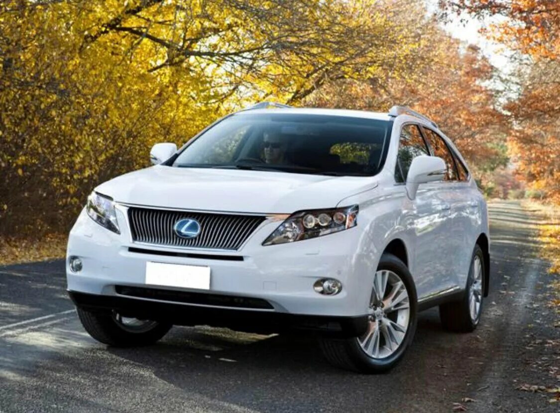 Стоит lexus rx. Lexus RX 450h 2009. Rx450h 2010. Lexus RX 450h. Lexus RX 450 2009.