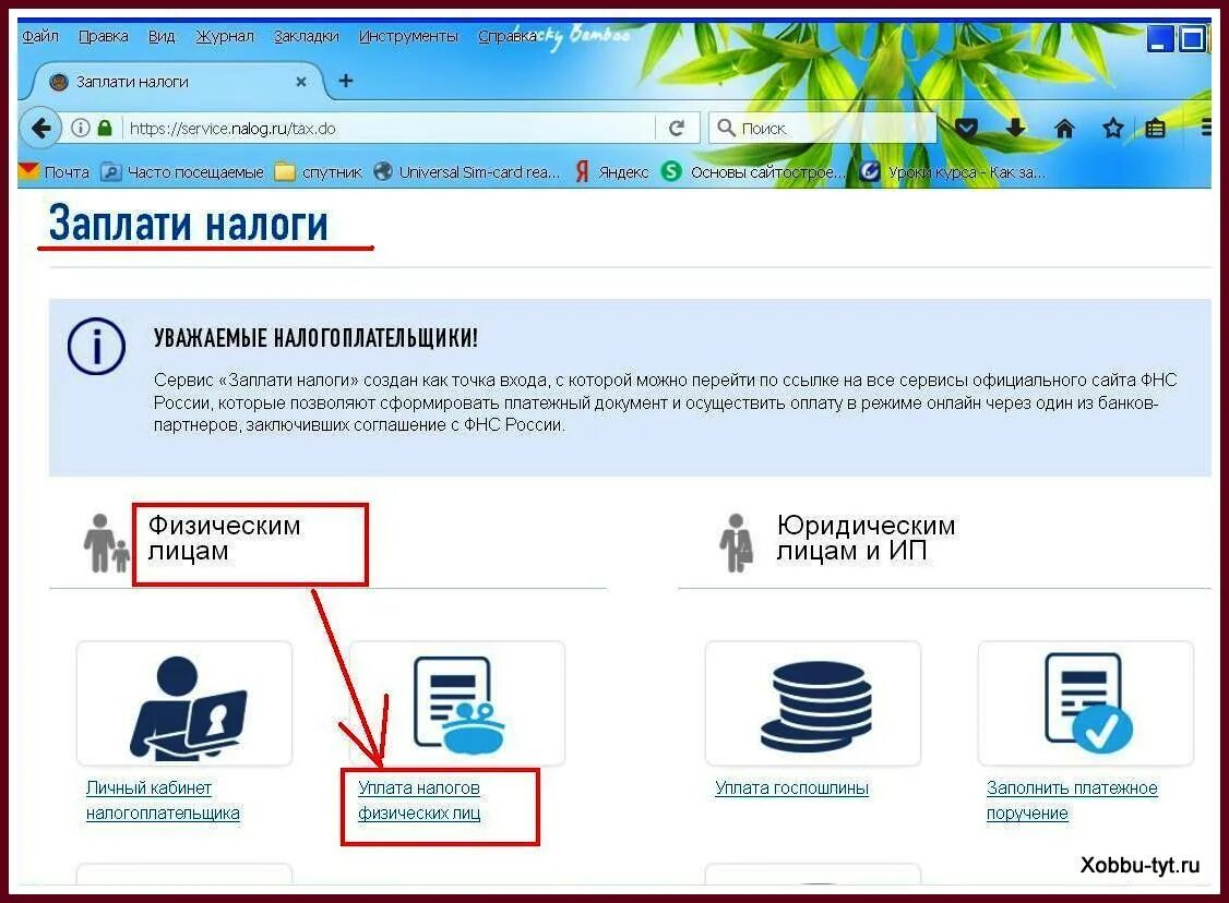 Оплата взносов на сайте налоговой. Как оплатить налоги. Оплатить налоги на сайте налоговой. Как можно опалить налог.