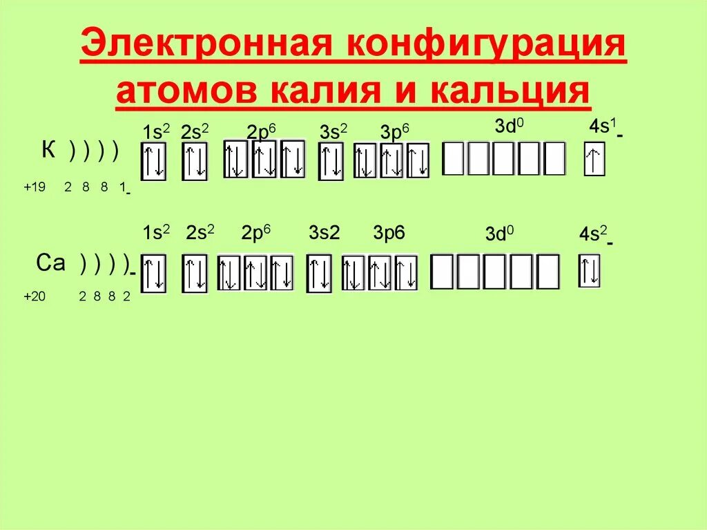 Строение электронной оболочки кальция. Электронно-графическая схема атома кальция. Электронно графическая схема кальция. Электронная конфигурация кальция в основном состоянии. Распределение электронов по энергетическим уровням кальция