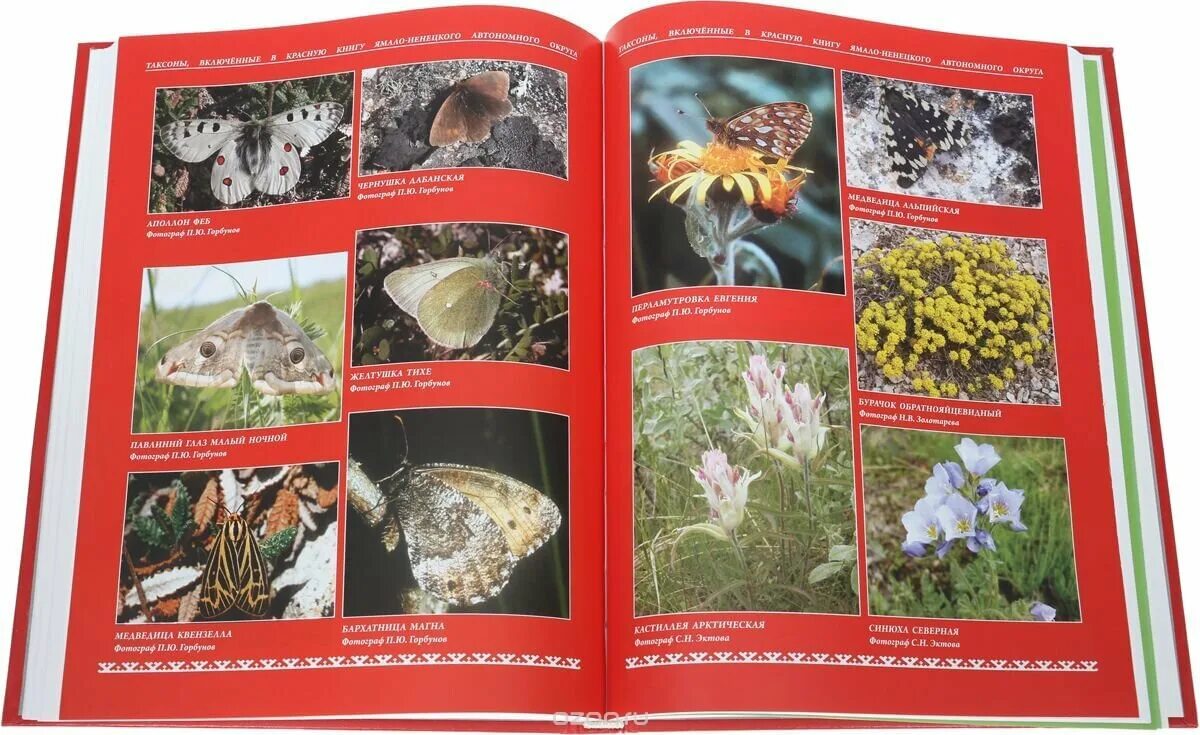 Сколько животных и растений в красной книге