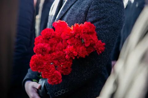 Подарил гвоздики