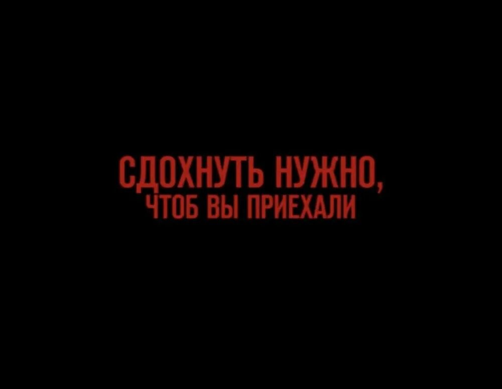 Здохнем мы все обязательно сдохнем песня. Здохнем мы все обязательно сдохнем песня