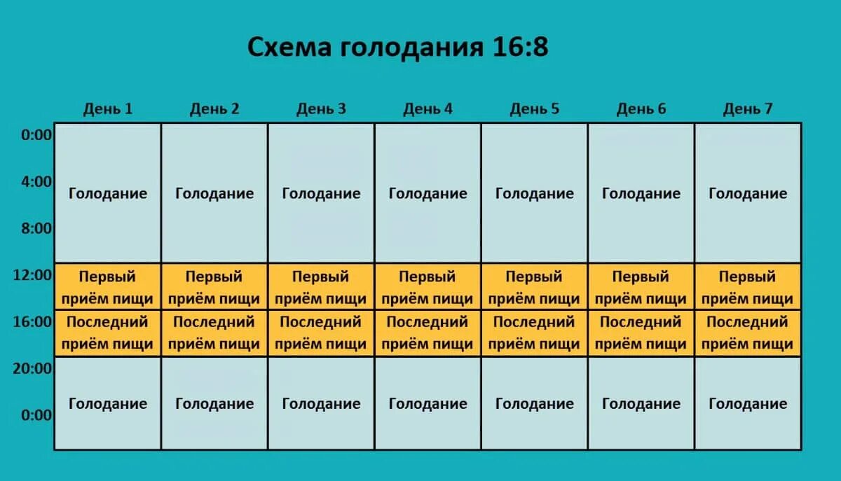 В какое время суток лучше обрабатывать. График интервального голодания 16 на 8. Интервальное голодание 16/8 схема для начинающих по часам. Интервальное голодание. Интервальное питание.