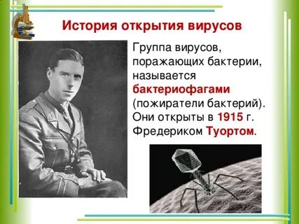 История вирусов