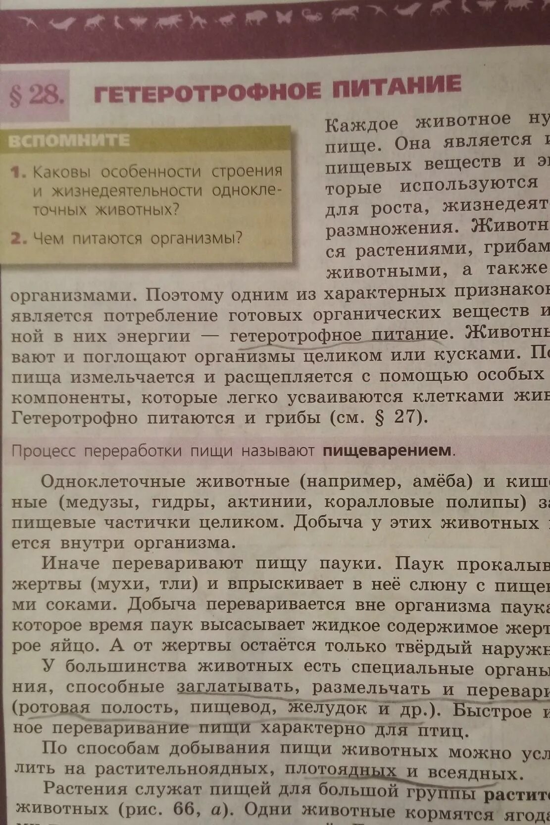 Краткий пересказ параграфа по биологии 15 параграф. Пересказ параграфа по биологии. Краткий пересказ параграфа. Краткий пересказ параграфа 20 по биологии. Краткий пересказ 28 параграфа по биологии.