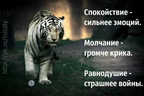 Сильное спокойствие