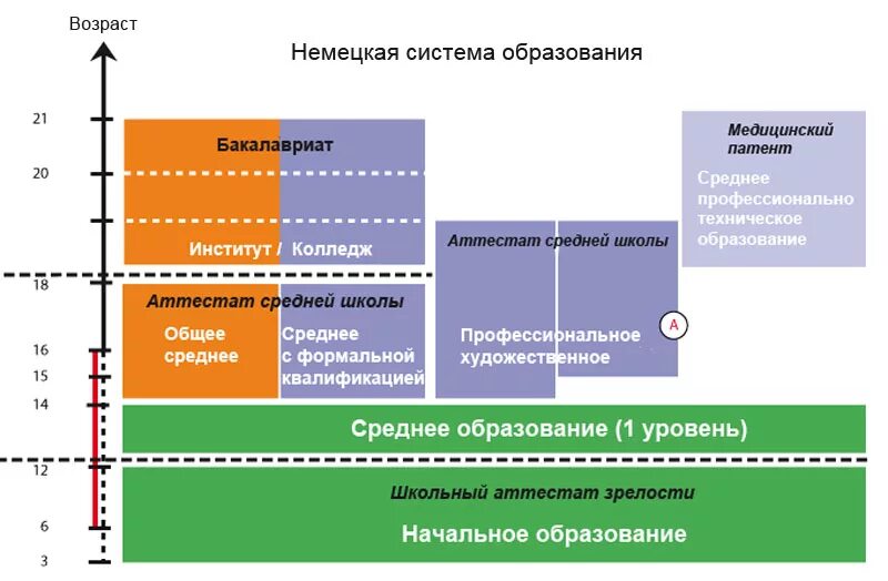 Система образования в Германии схема. Школьное образование в Германии схема. Система образования в Германии на немецком. Структура образования в Германии. Территориальные системы высшего образования