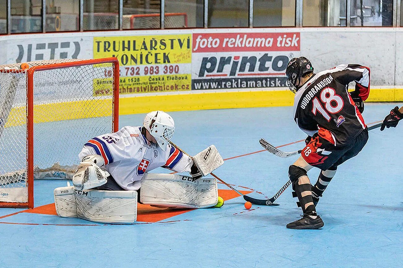 Болл хоккей. Hockey ball. Бол хоккей в москве. Liveball hockey. Liveball hockey.
