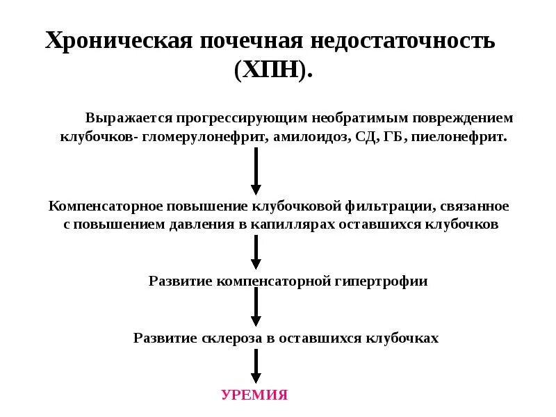 Патогенез хронической почечной недостаточности схема. Механизм развития хронической почечной недостаточности. Патогенез развития хронической болезни почек. Хроническая болезнь почек патогенез схема. Патогенез почки