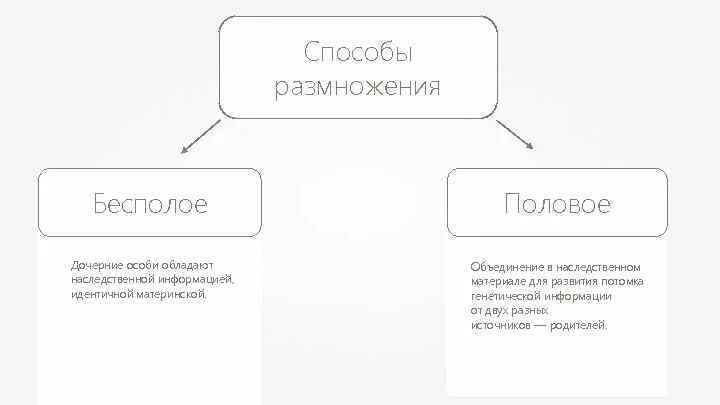 Генотип дочерних организмов. Дочерние особи. Что из себя представляют дочерние особи. Дочерние особи идентичны материнским. Что значит дочерняя особь.