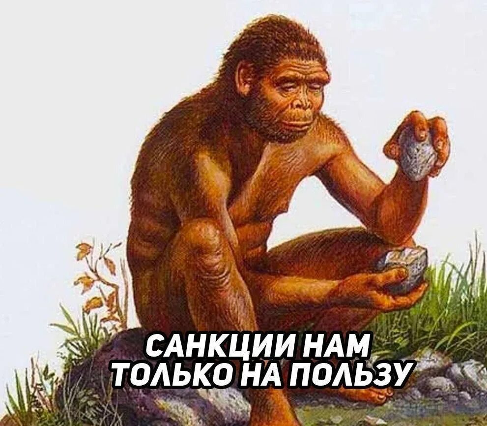 Санкции нам только на пользу. Скнкции на пользу. Санкции нам только на пользу Мем. Россия не остановится