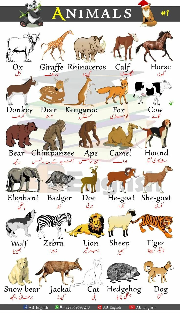 Английский язык wild animals. Животные на английском. домашние животные на английском. все животные на английском языке. имена для животных.