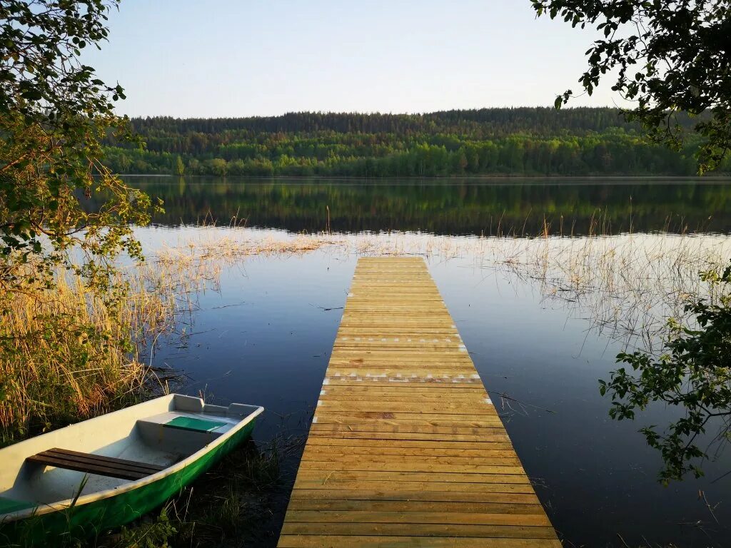 Деревня ялгуба карелия. Freegreen, деревня ялгуба. Сенная сенная губа карелии. Ялгуба карелия. Ялгуба петрозаводск.