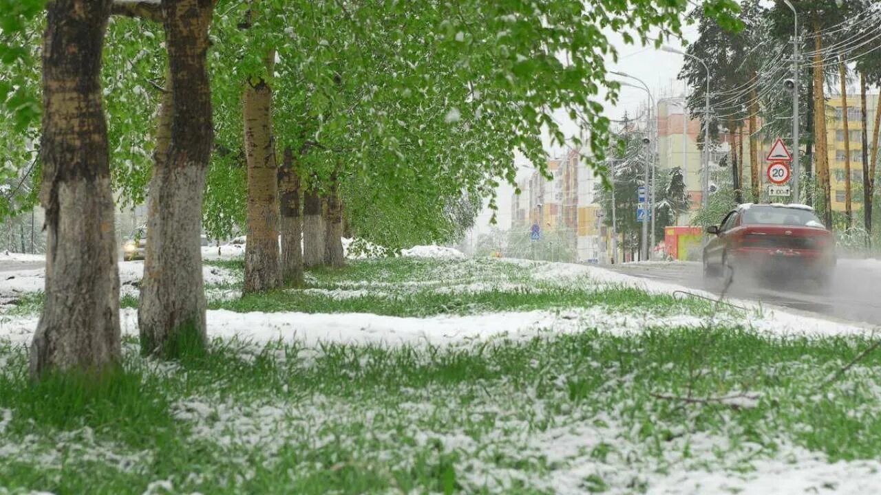 Что означает снег летом. Что означает снег летом